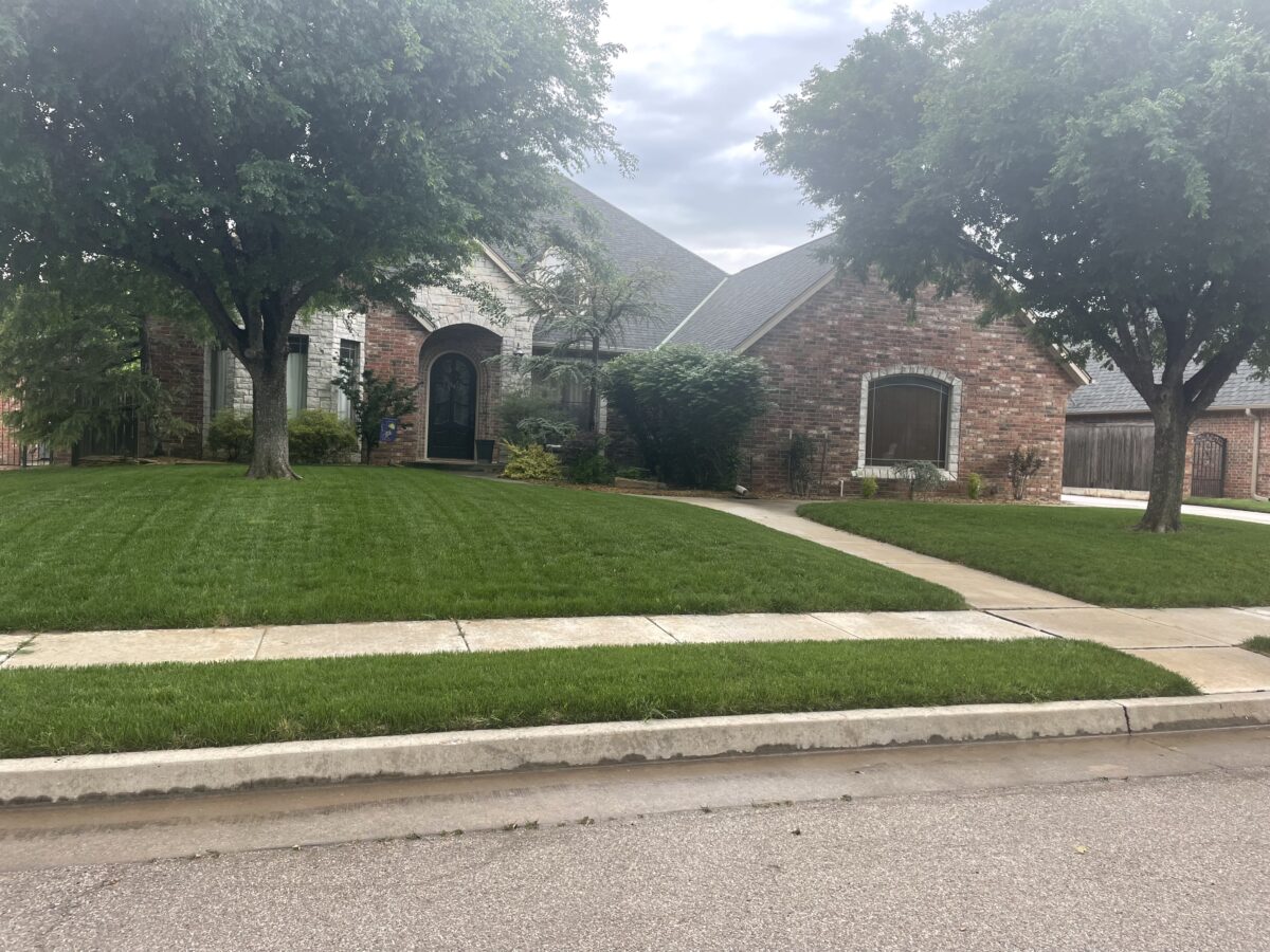Tuff Turf Lawn Seed Mixture® - Image 12