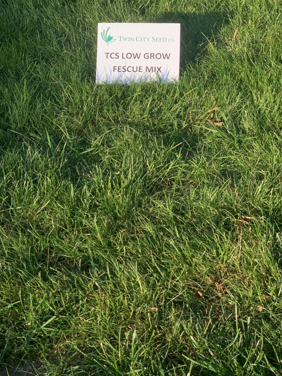 ECO SEED™ (Low Grow Fescue) Mix - Image 10