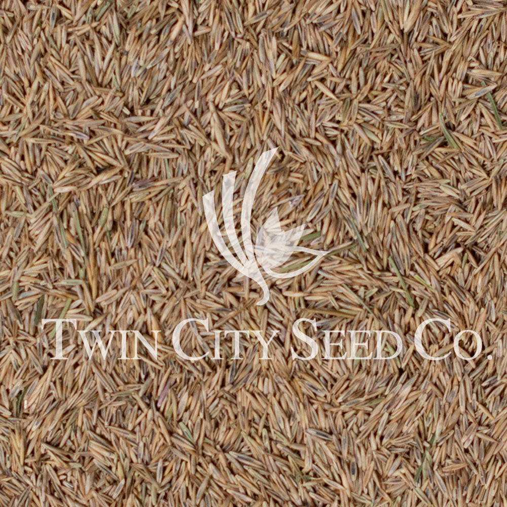 ECO SEED™ (Low Grow Fescue) Mix - Image 11