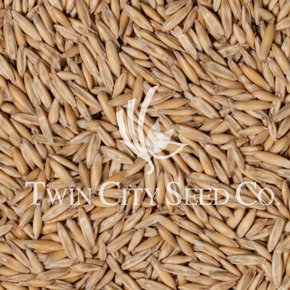 MN DOT 21-111 Oats