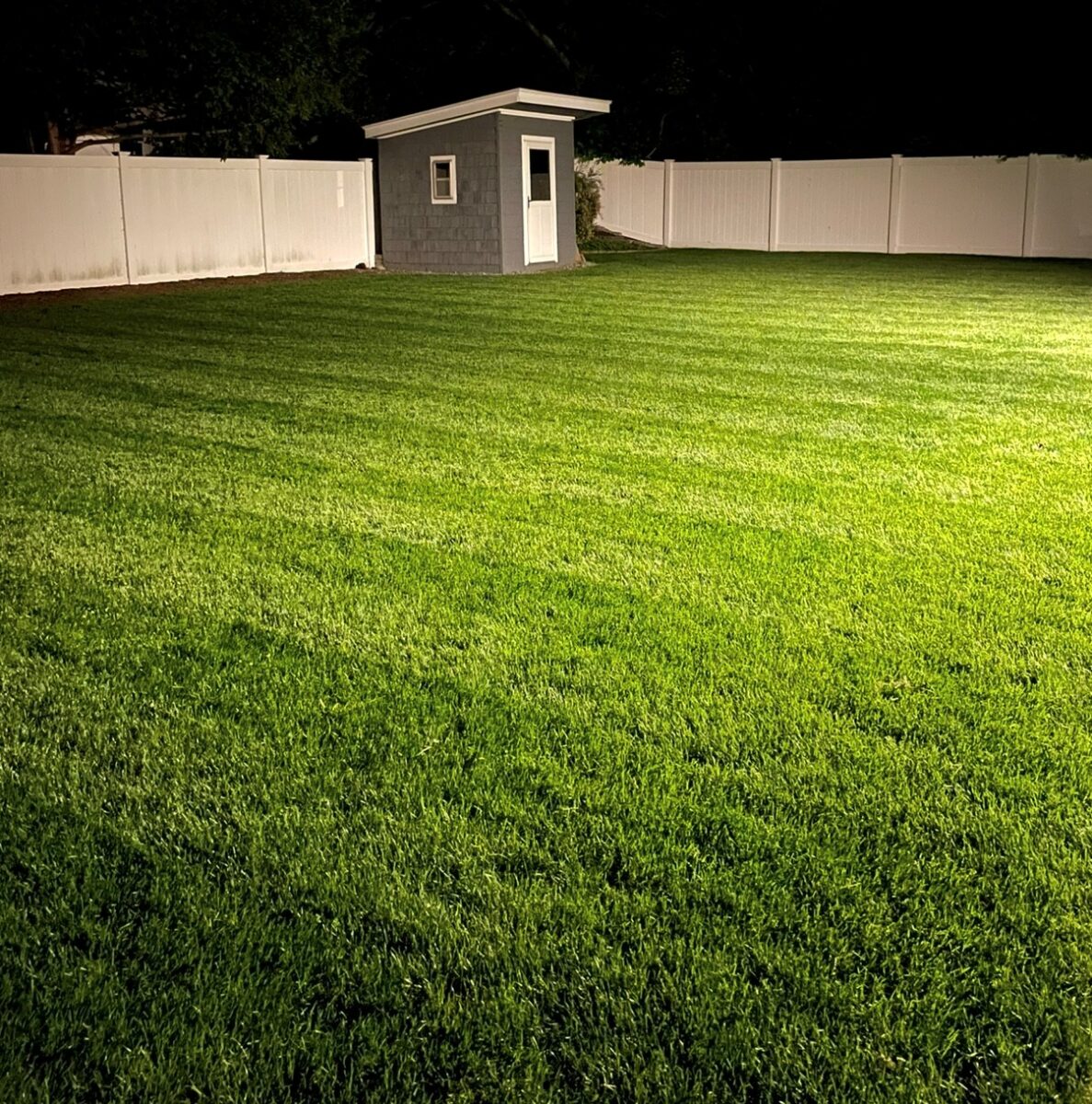 BLUE RESILIENCE Tall Fescue & Kentucky Bluegrass Mixture - Image 22