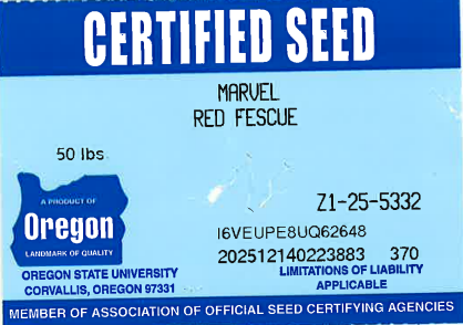 MARVEL Creeping Red Fescue (Strong) - Image 2