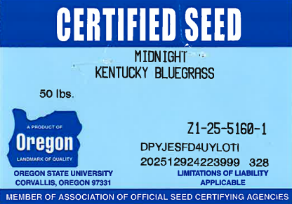 MIDNIGHT Kentucky Bluegrass - Image 3