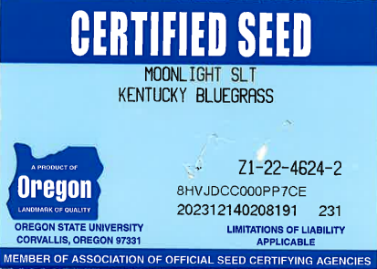 MOONLIGHT SLT Kentucky Bluegrass - Image 3