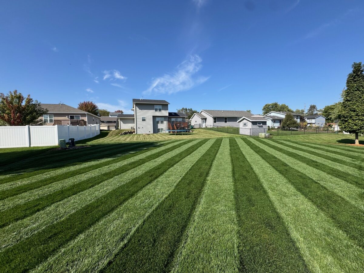 Nightfall Lawn Seed Mixture - Image 10