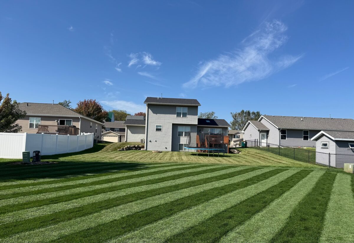 Nightfall Lawn Seed Mixture - Image 2