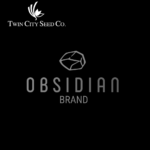 OBSIDIAN Perennial Ryegrass Blend - 10 lb Bag