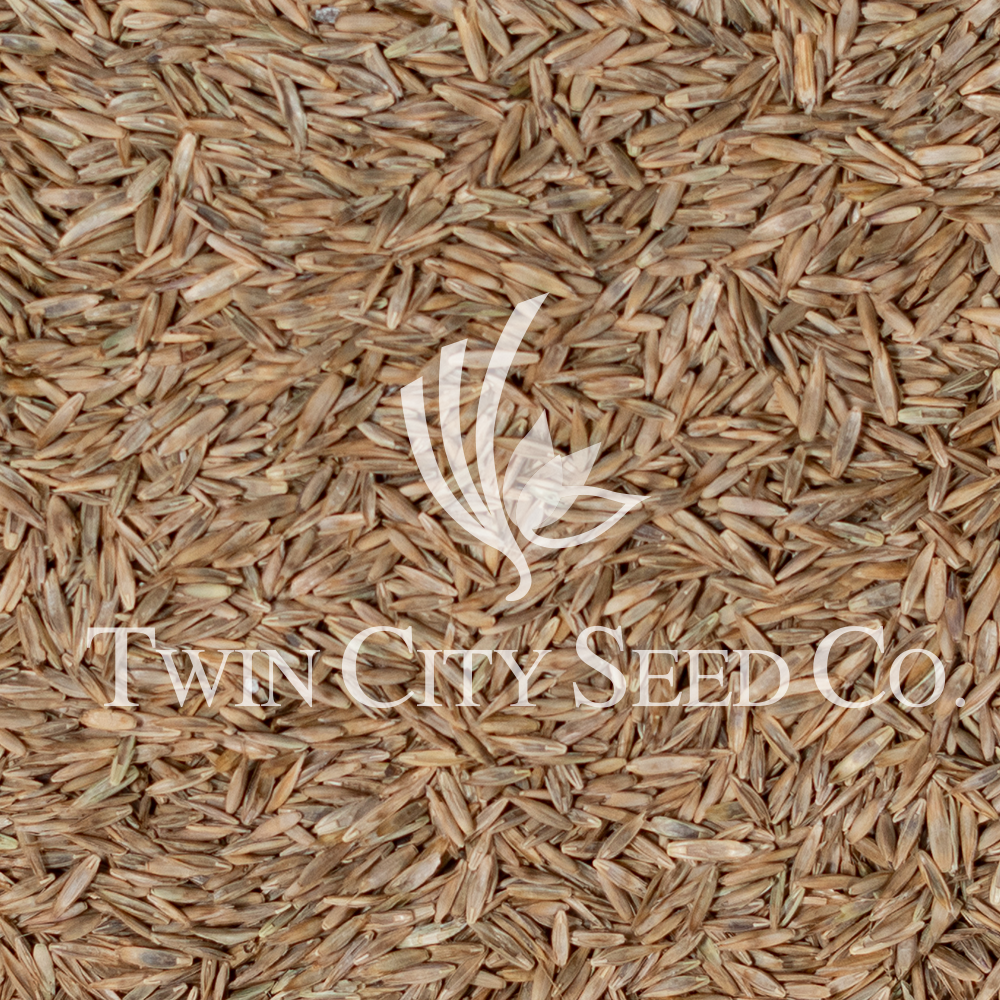 RENew Pasture Mix
