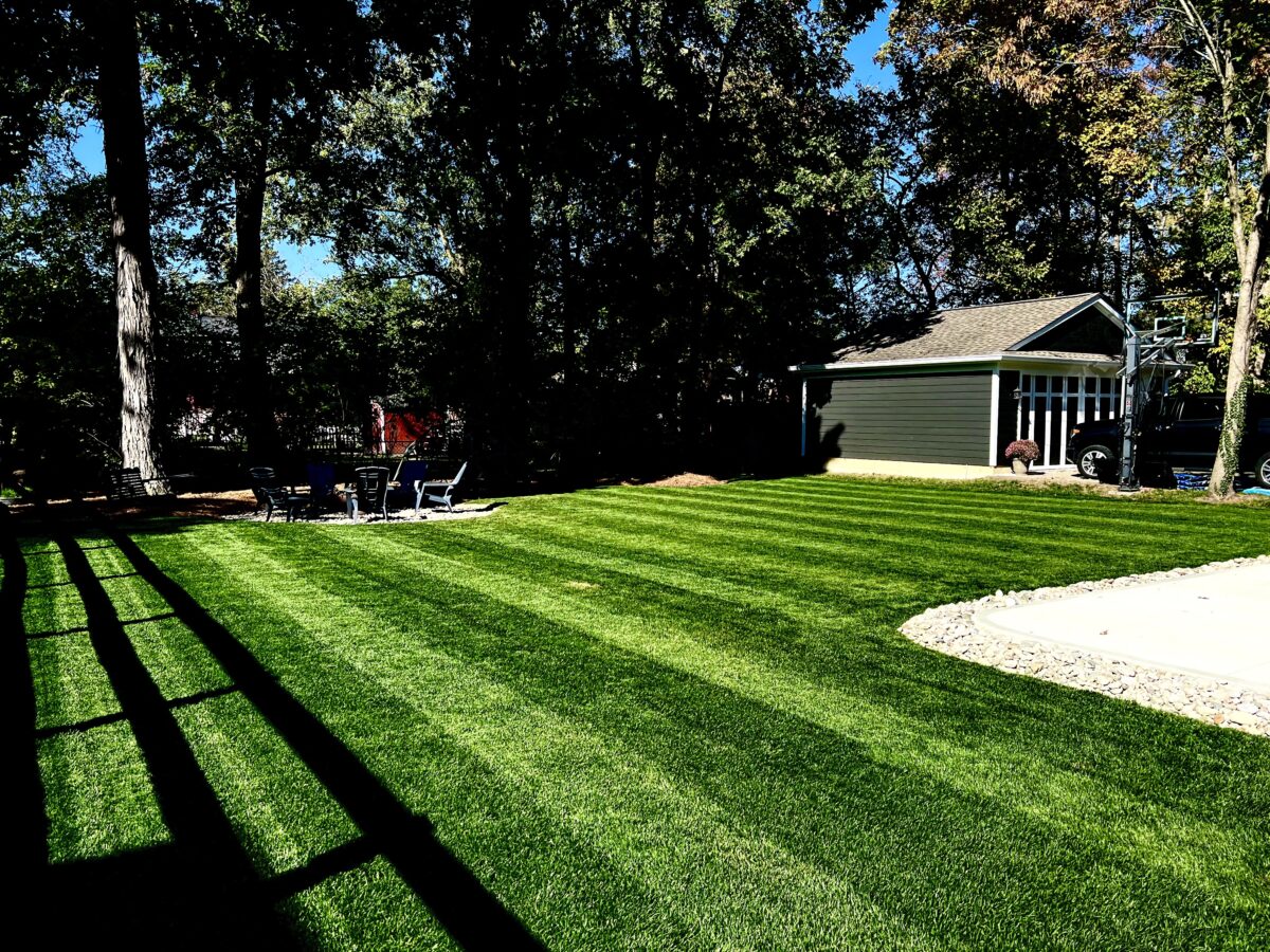 BLUE RESILIENCE Tall Fescue & Kentucky Bluegrass Mixture - Image 8