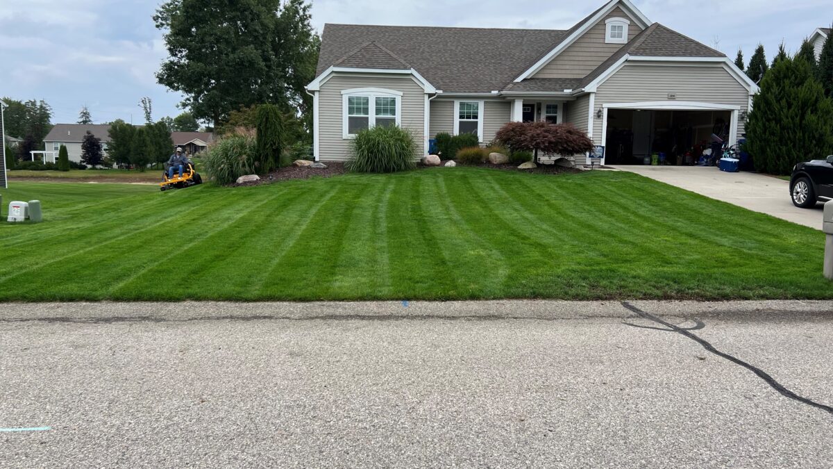 RESILIENCE™ II Turf Type Tall Fescue Blend - Image 5