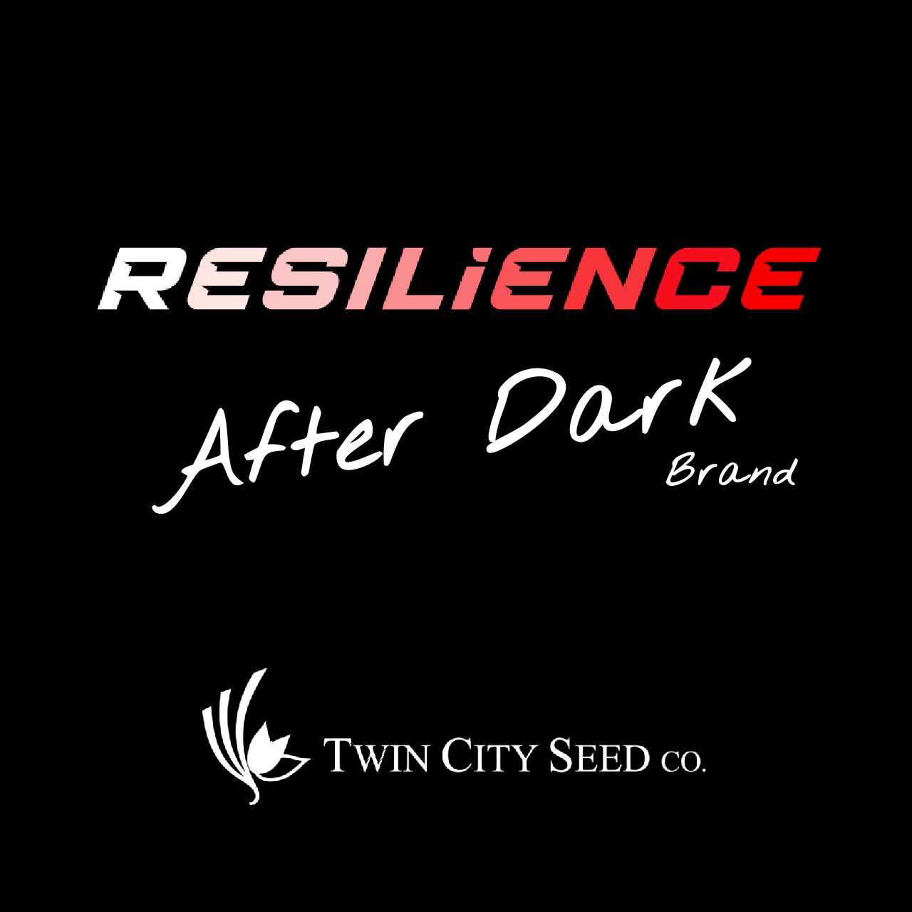 RESILIENCE 'After Dark' Lawn Seed Mixture