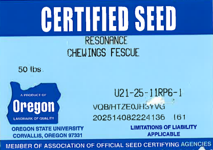 RESONANCE Chewings Fescue - Image 2