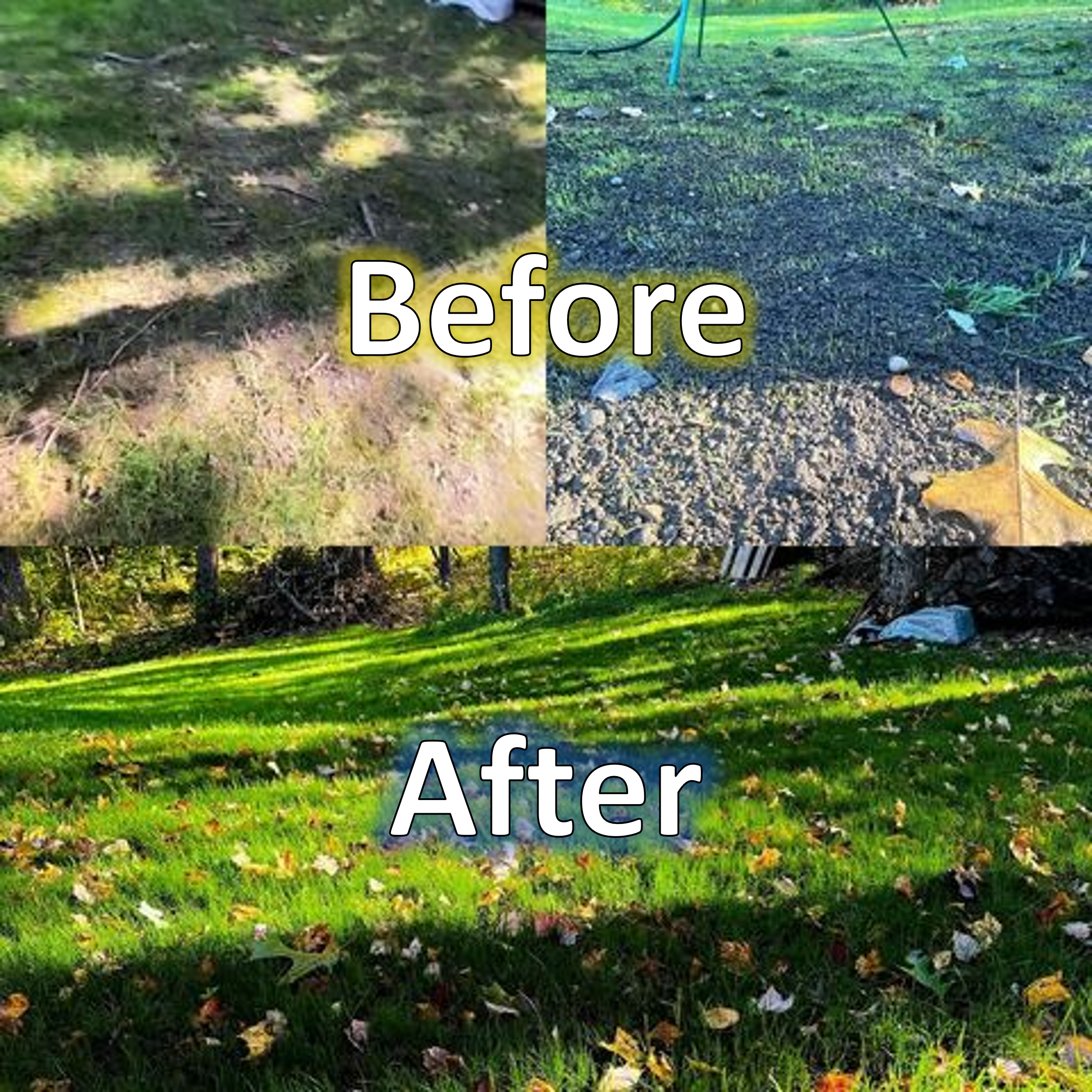Shady Lawn Seed Mixture - Image 7