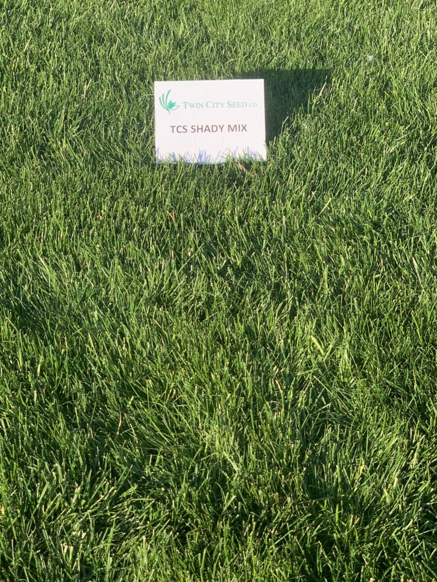 Shady Lawn Seed Mixture - Image 5