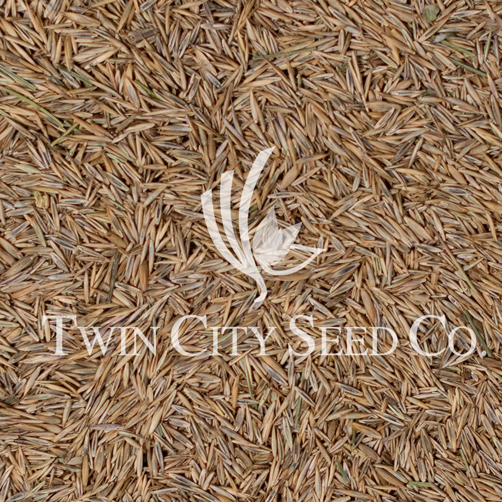 STREETS (Salt Tolerant) Seed Mixture®
