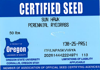 SUN HAWK Perennial Ryegrass - Image 2