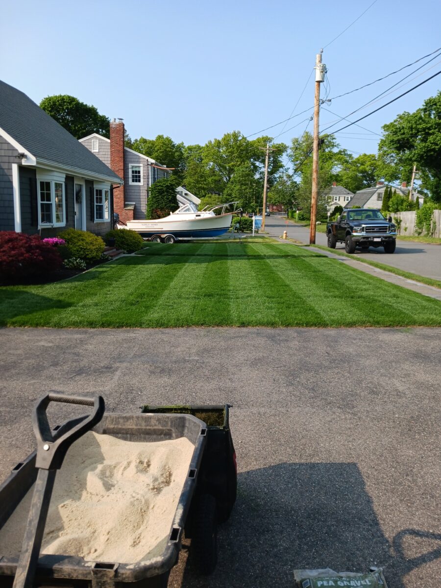 Tuff Turf Lawn Seed Mixture® - Image 14