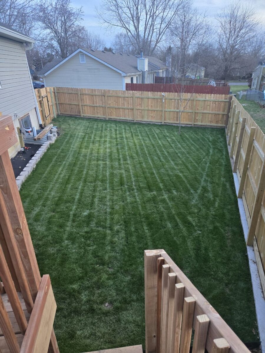 RESILIENCE 'After Dark' Lawn Seed Mixture - Image 3