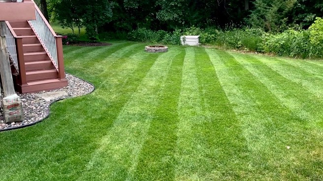 FIELDER'S CHOICE™ Elite Perennial Ryegrass Blend - Image 8