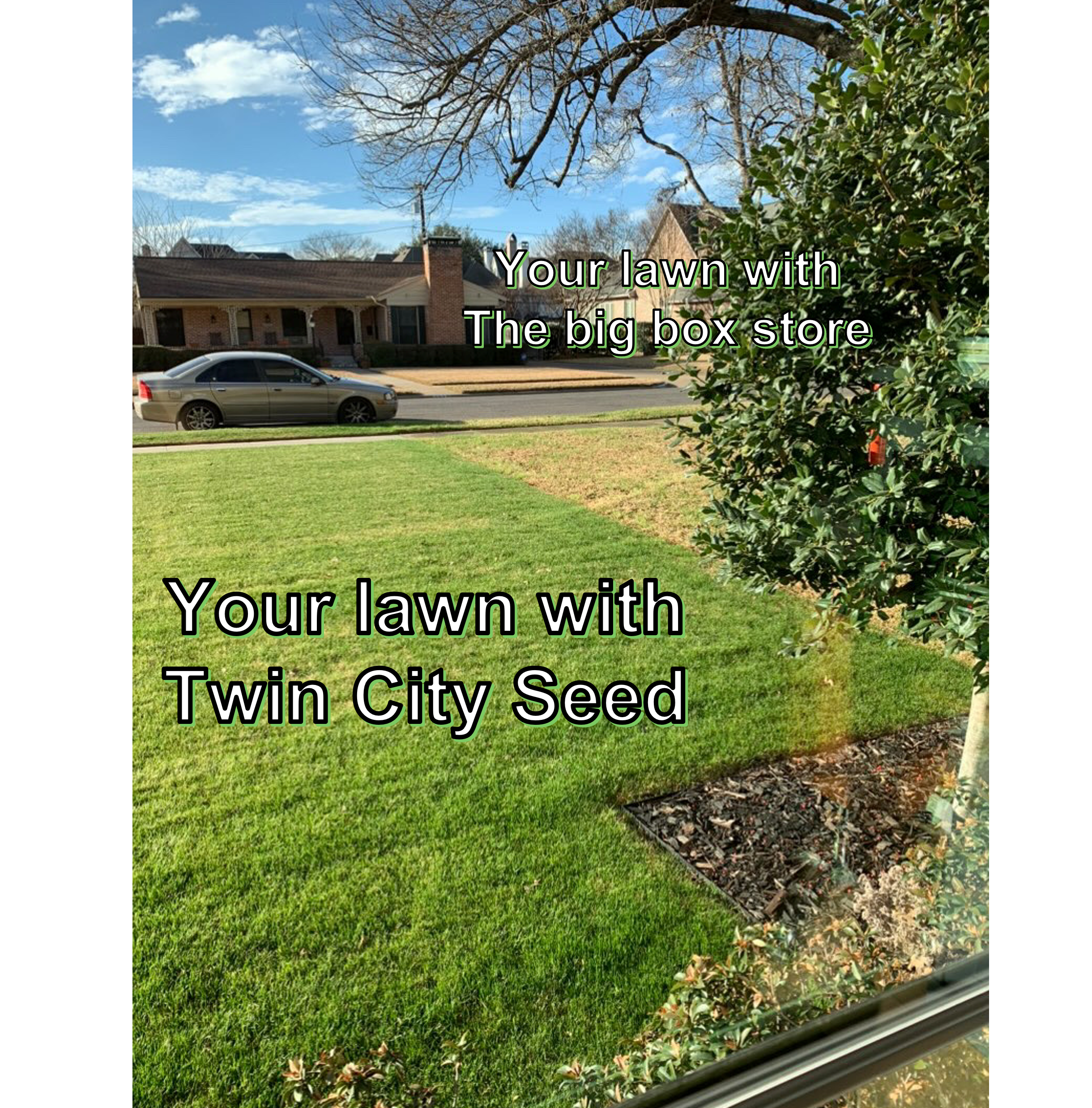 Tuff Turf Lawn Seed Mixture® - Image 8