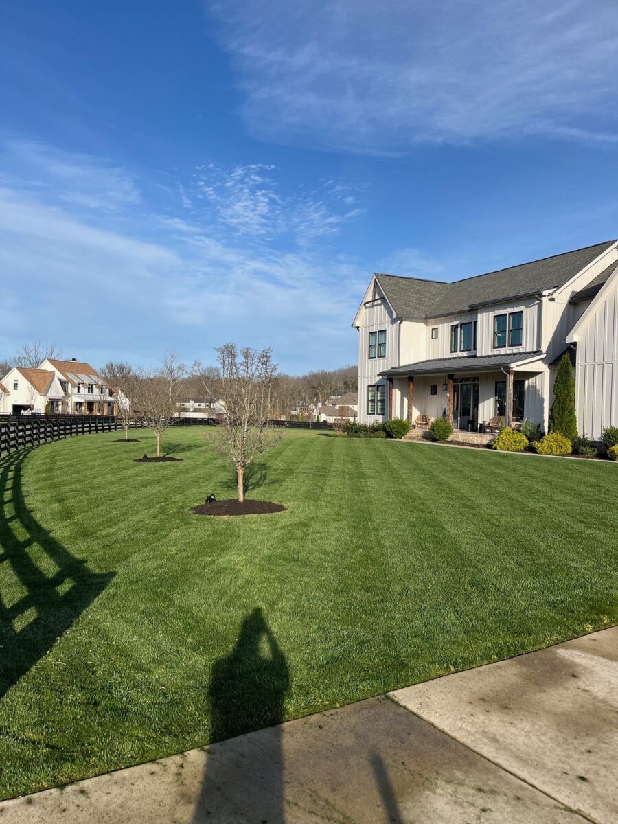 Tuff Turf Lawn Seed Mixture® - Image 15
