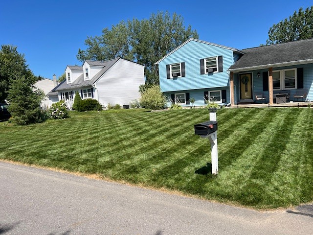 BLUE RESILIENCE Tall Fescue & Kentucky Bluegrass Mixture - Image 20