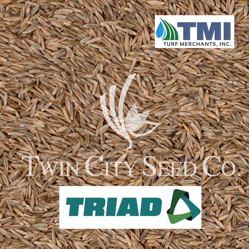 TRIAD Turf Type Tall Fescue