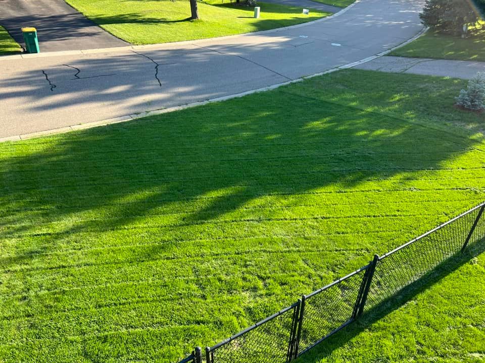 BLUE RESILIENCE Tall Fescue & Kentucky Bluegrass Mixture - Image 18