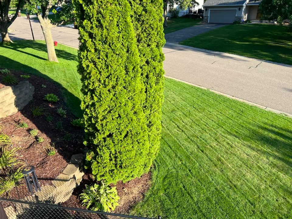 BLUE RESILIENCE Tall Fescue & Kentucky Bluegrass Mixture - Image 19