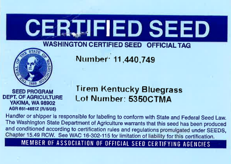 TIREM Kentucky Bluegrass - Image 3