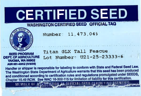 TITAN GLX Turf Type Tall Fescue - Image 2