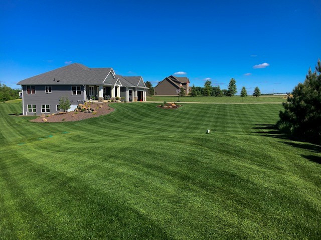 Tuff Turf Lawn Seed Mixture® - Image 2