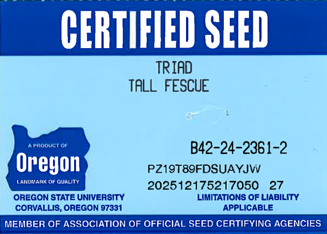 TRIAD Turf Type Tall Fescue - Image 2