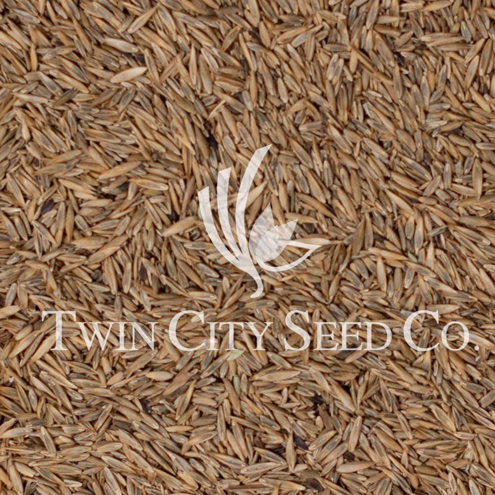 Tuff Turf Lawn Seed Mixture® - Image 21