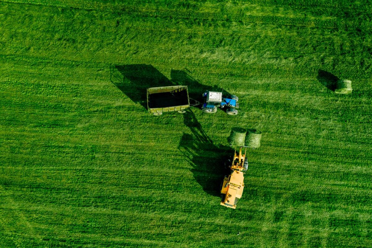 Farmer