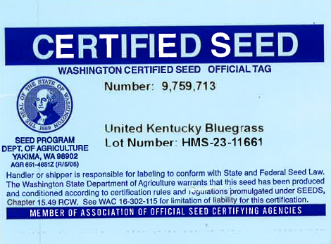 UNITED Kentucky Bluegrass - Image 2