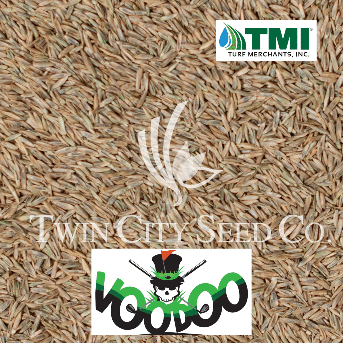 VOODOO Perennial Ryegrass