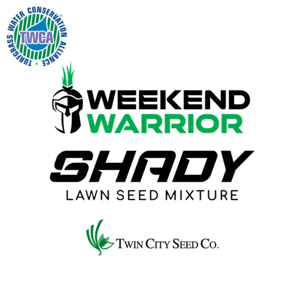 Shady Lawn Seed Mixture