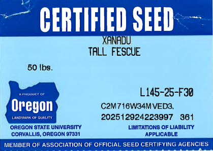 XANADU Turf Type Tall Fescue - Image 2