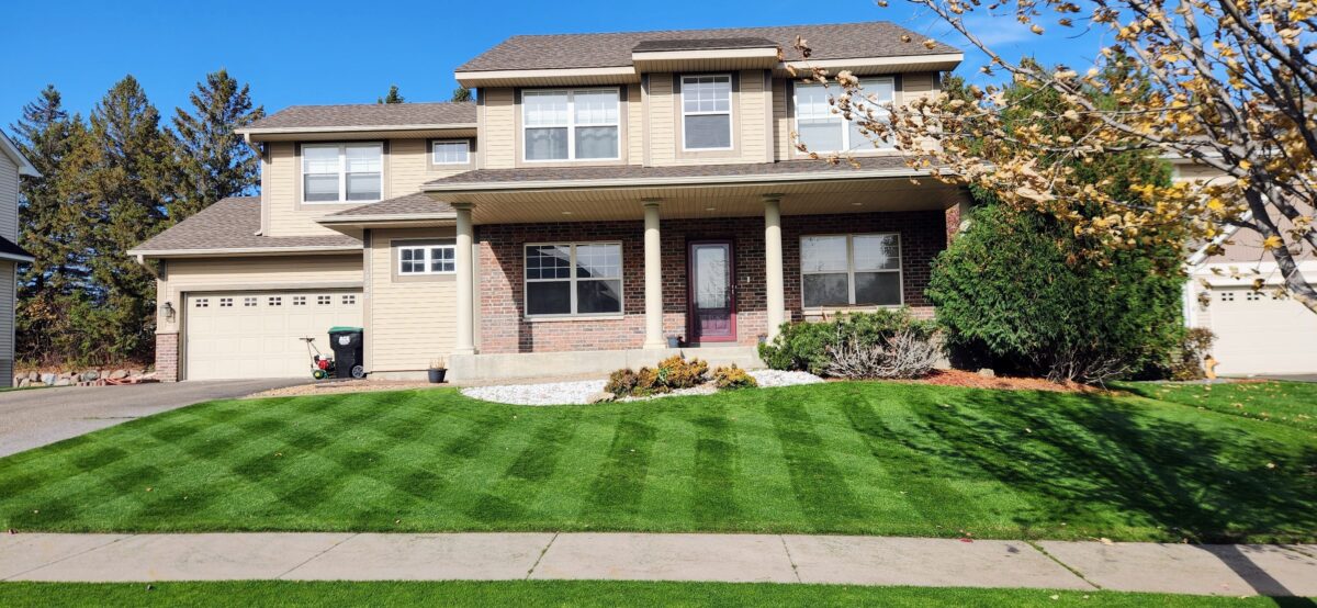 FIELDER'S CHOICE™ Elite Perennial Ryegrass Blend - Image 2