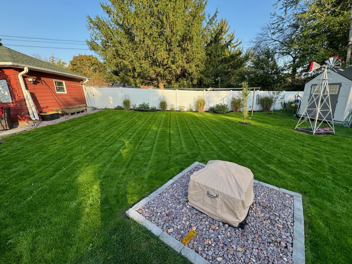 BLUE ENVY™ Elite Kentucky Bluegrass Blend - Image 13