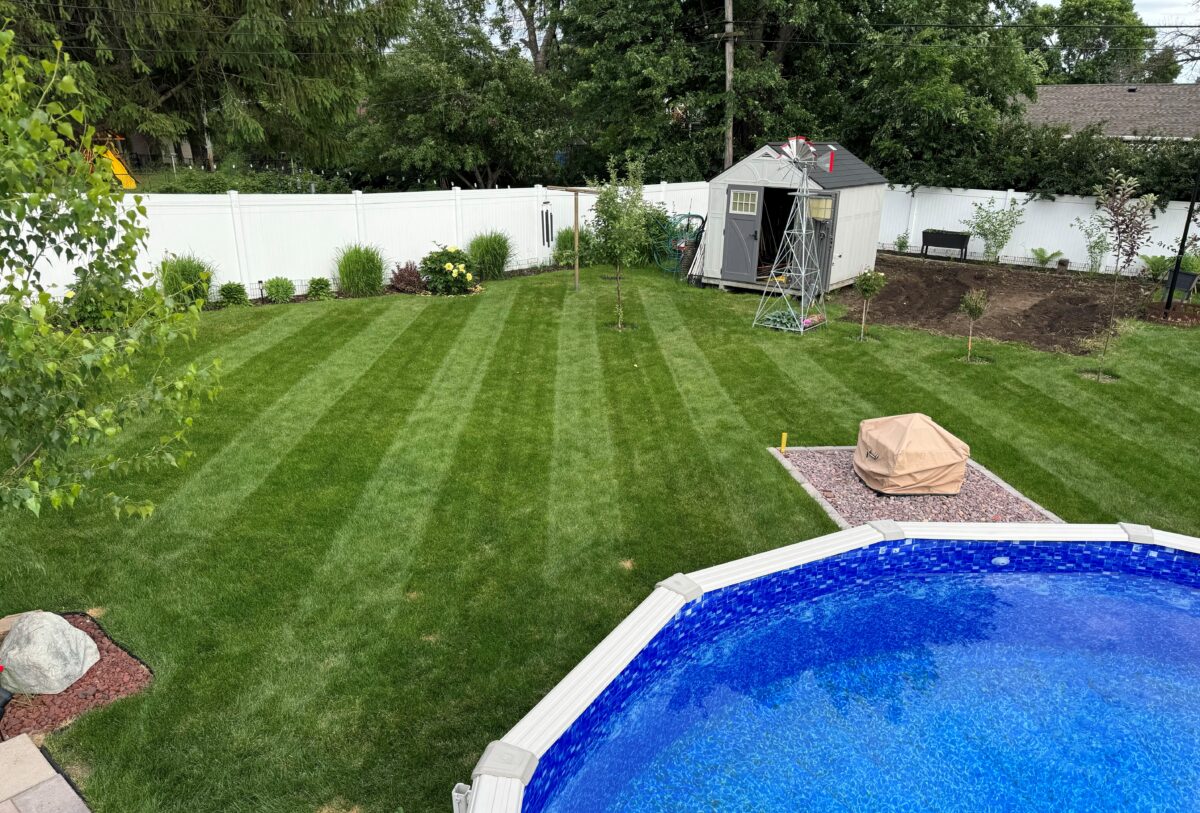 BLUE ENVY™ Elite Kentucky Bluegrass Blend - Image 14