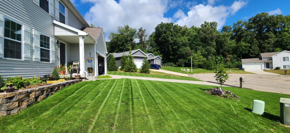 FIELDER'S CHOICE™ Elite Perennial Ryegrass Blend - Image 6
