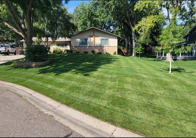 MAZAMA Kentucky Bluegrass - Image 2