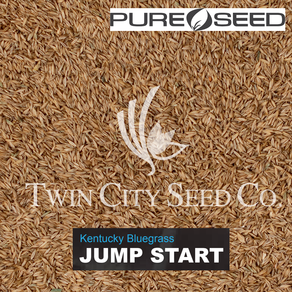 JUMPSTART Kentucky Bluegrass